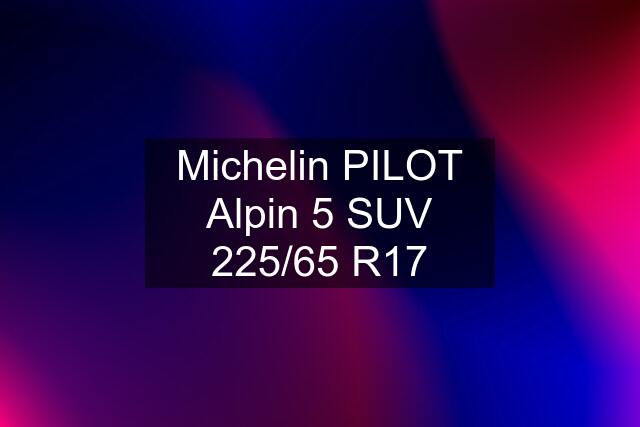 Michelin PILOT Alpin 5 SUV 225/65 R17