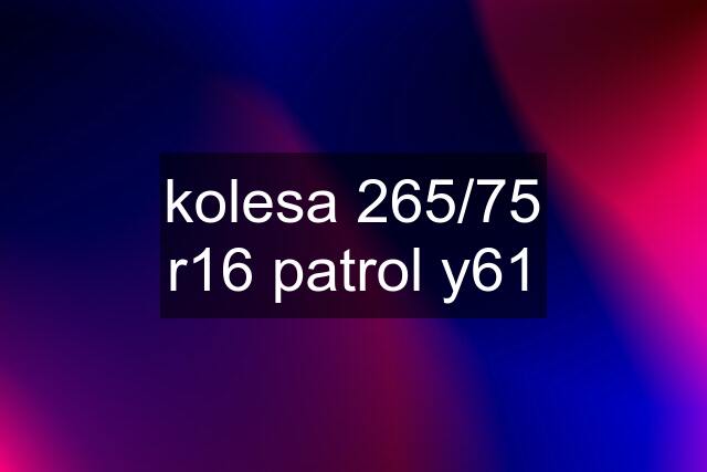 kolesa 265/75 r16 patrol y61