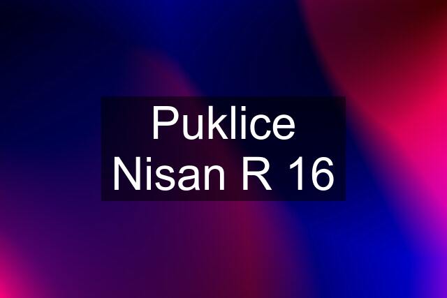 Puklice Nisan R 16