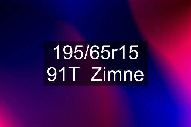 195/65r15 91T  Zimne