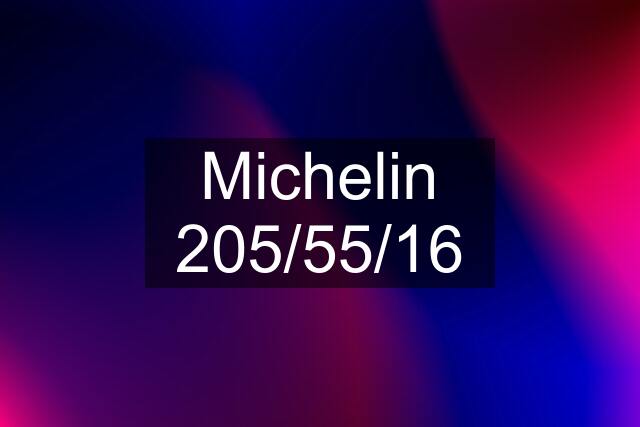 Michelin 205/55/16