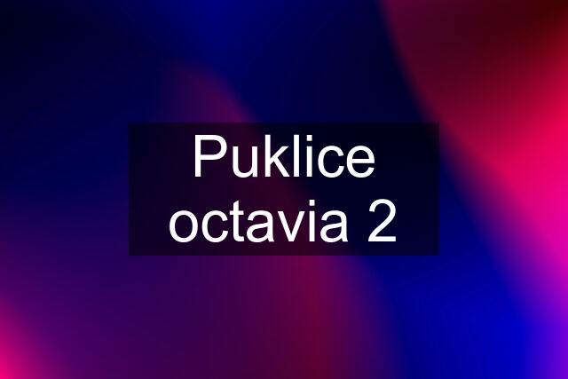 Puklice octavia 2