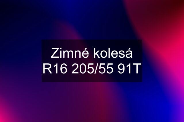 Zimné kolesá R16 205/55 91T