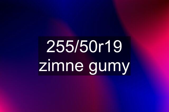 255/50r19 zimne gumy