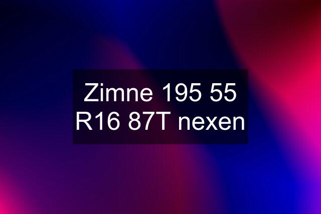 Zimne 195 55 R16 87T nexen