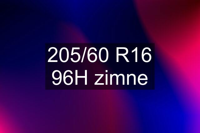 205/60 R16 96H zimne