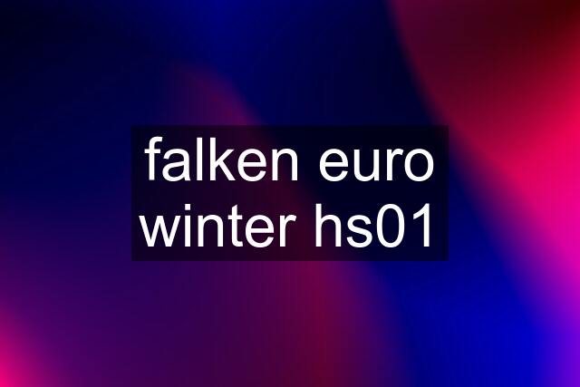 falken euro winter hs01