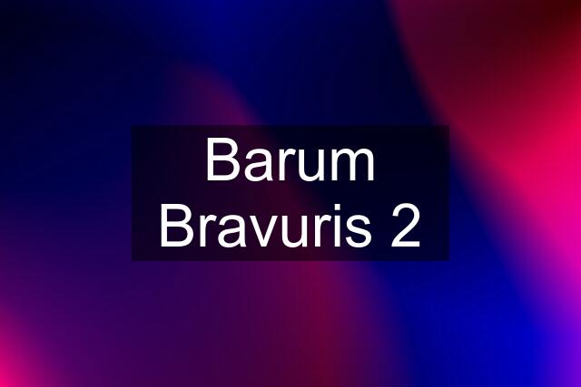 Barum Bravuris 2