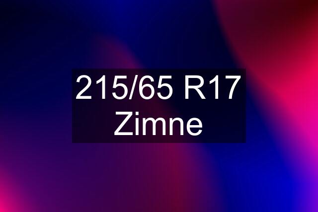 215/65 R17 Zimne