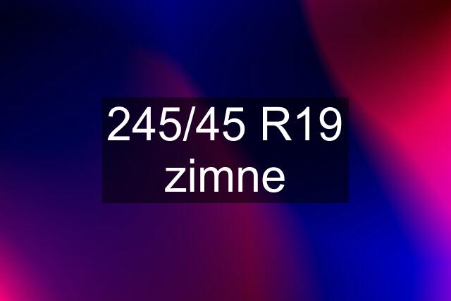 245/45 R19 zimne