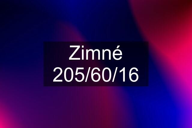 Zimné 205/60/16