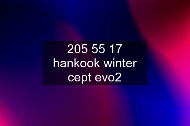 205 55 17 hankook winter cept evo2