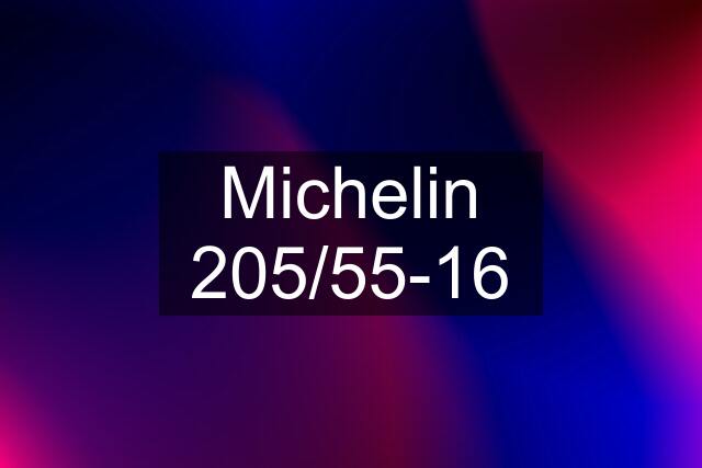 Michelin 205/55-16