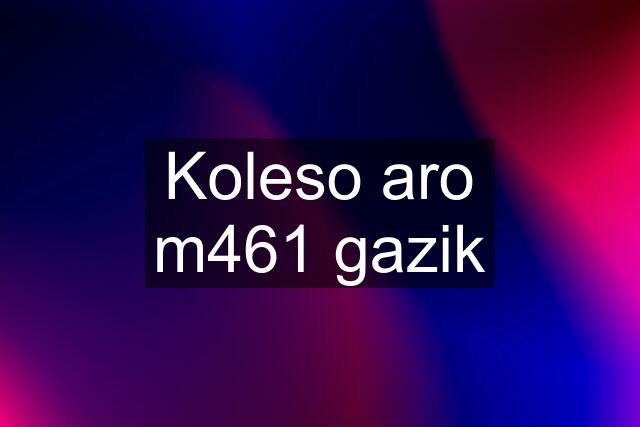 Koleso aro m461 gazik