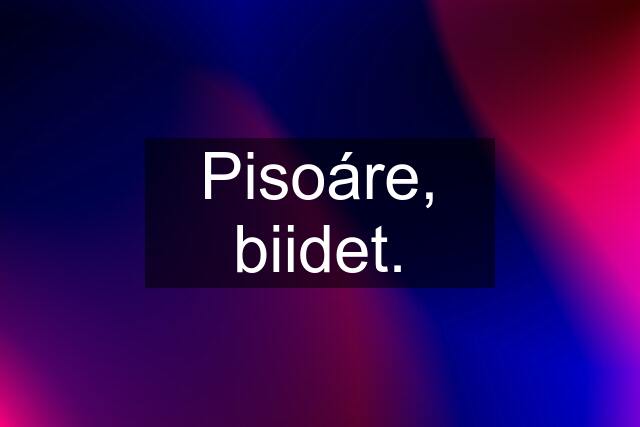 Pisoáre, biidet.