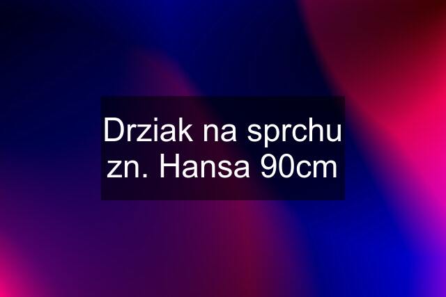 Drziak na sprchu zn. Hansa 90cm