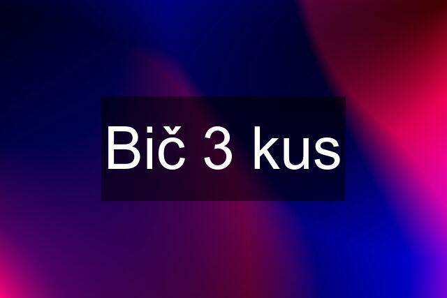 Bič 3 kus