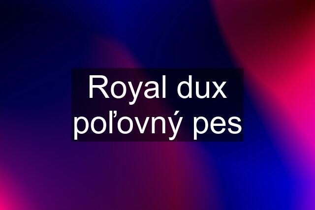 Royal dux poľovný pes