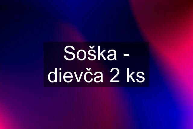 Soška - dievča 2 ks