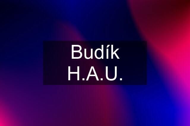 Budík H.A.U.