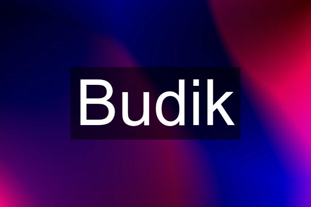 Budik