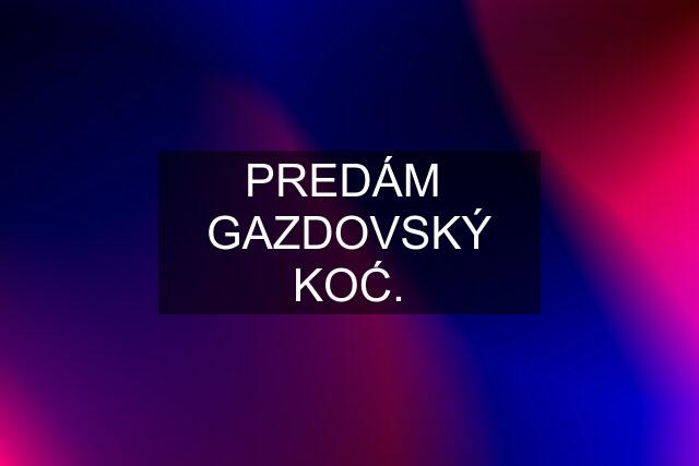 PREDÁM  GAZDOVSKÝ KOĆ.