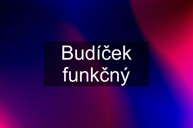 Budíček funkčný