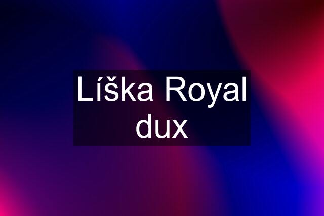 Líška Royal dux