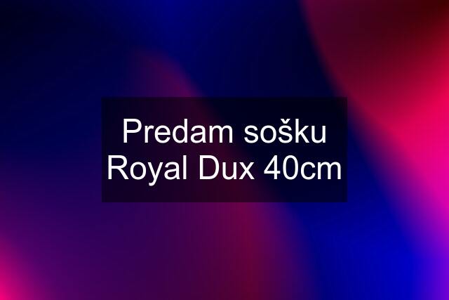 Predam sošku Royal Dux 40cm