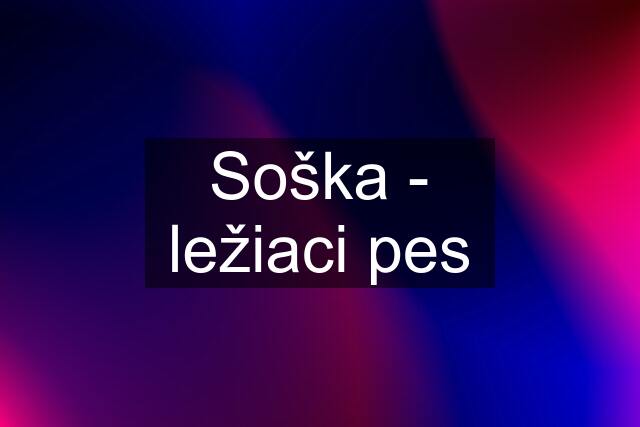 Soška - ležiaci pes