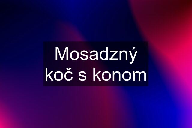 Mosadzný koč s konom