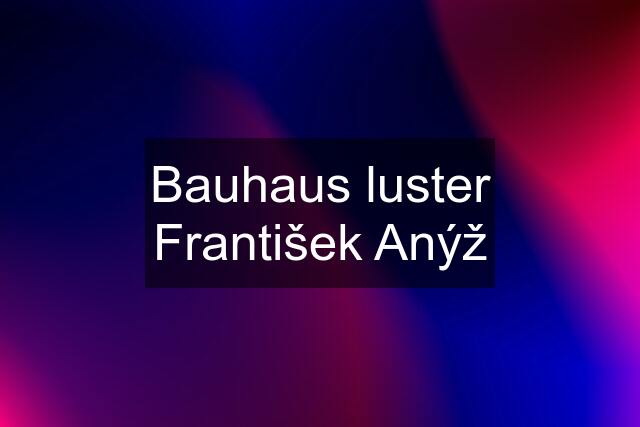 Bauhaus luster František Anýž