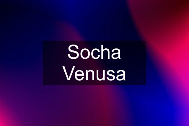 Socha Venusa