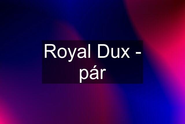 Royal Dux - pár