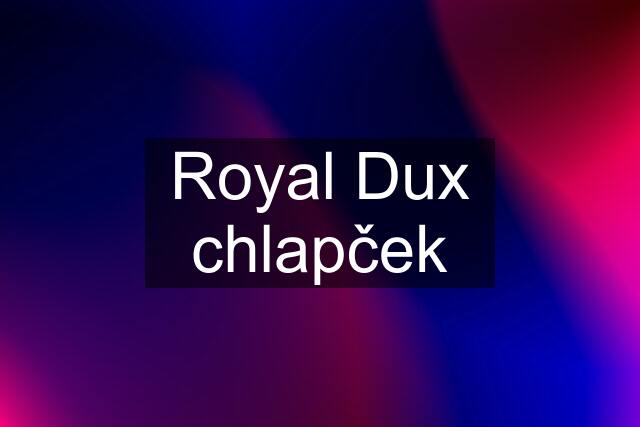 Royal Dux chlapček