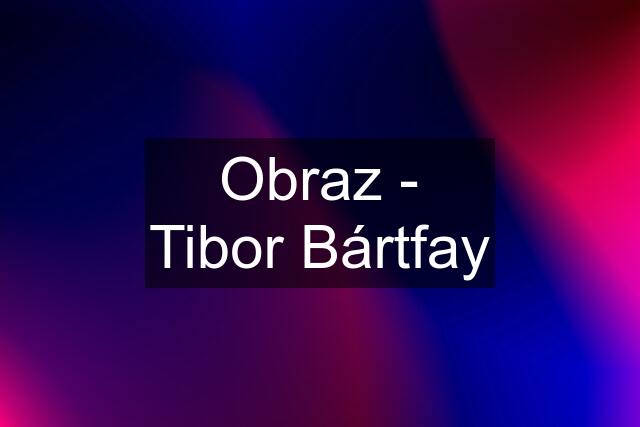 Obraz - Tibor Bártfay