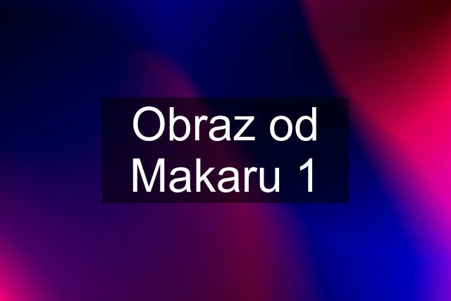 Obraz od Makaru 1