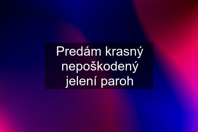 Predám krasný nepoškodený jelení paroh