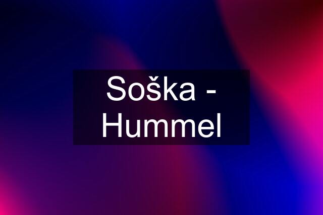 Soška - Hummel