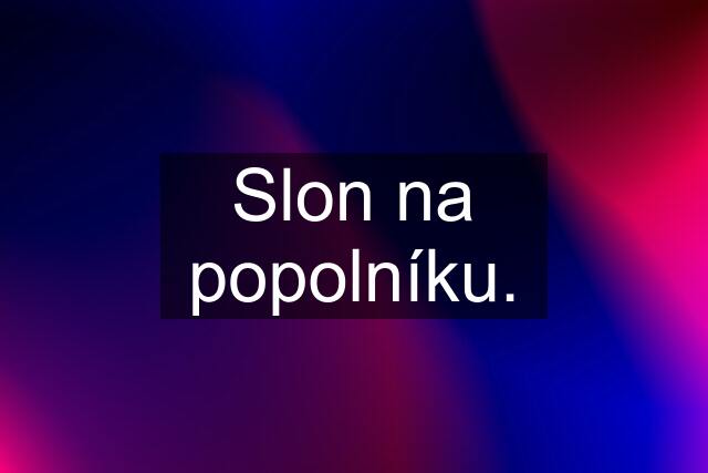 Slon na popolníku.