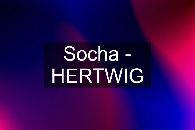 Socha - HERTWIG