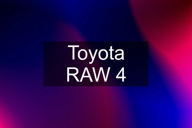 Toyota RAW 4