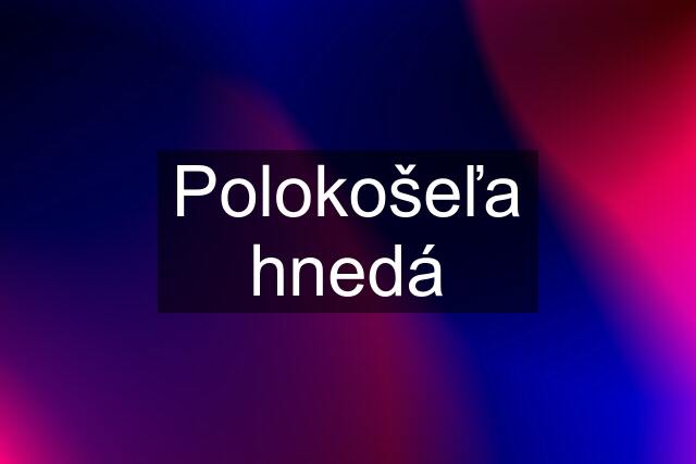 Polokošeľa hnedá