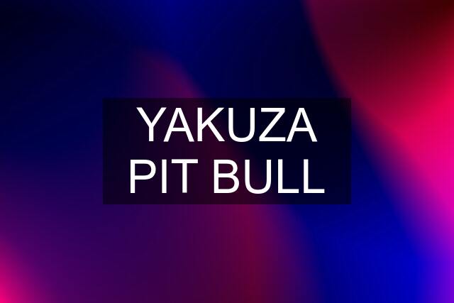 YAKUZA PIT BULL