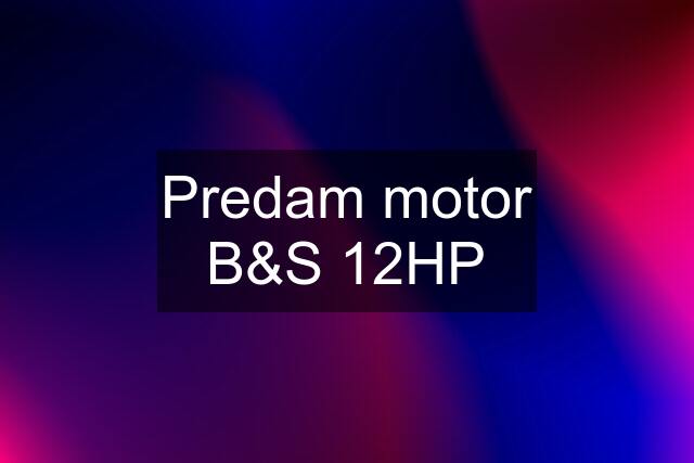 Predam motor B&S 12HP