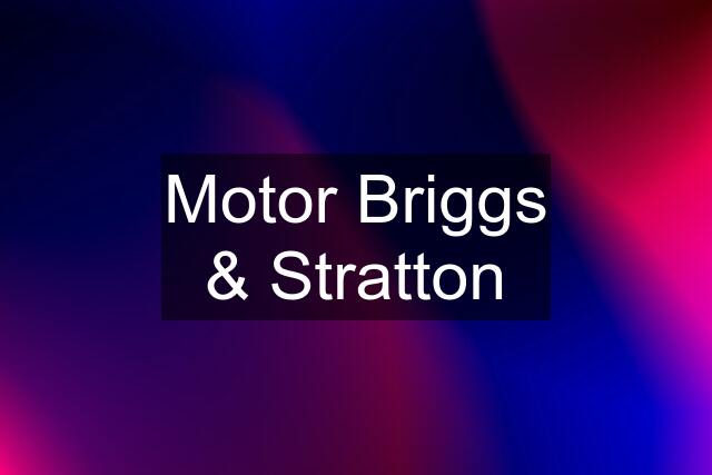 Motor Briggs & Stratton