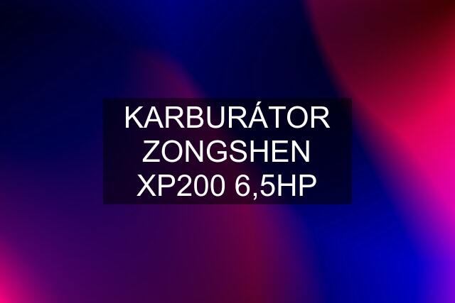 KARBURÁTOR ZONGSHEN XP200 6,5HP