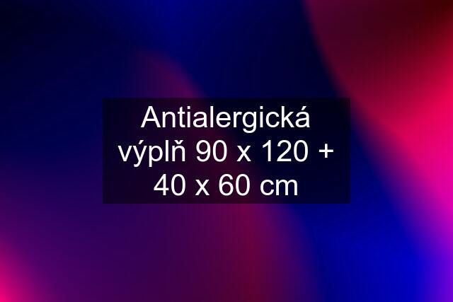 Antialergická výplň 90 x 120 + 40 x 60 cm