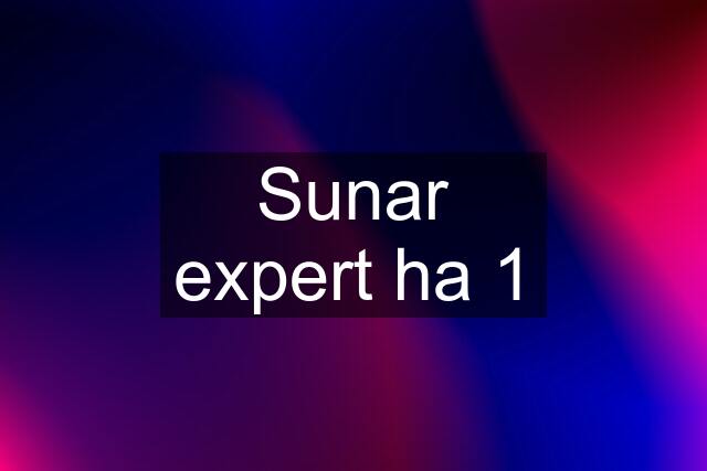 Sunar expert ha 1