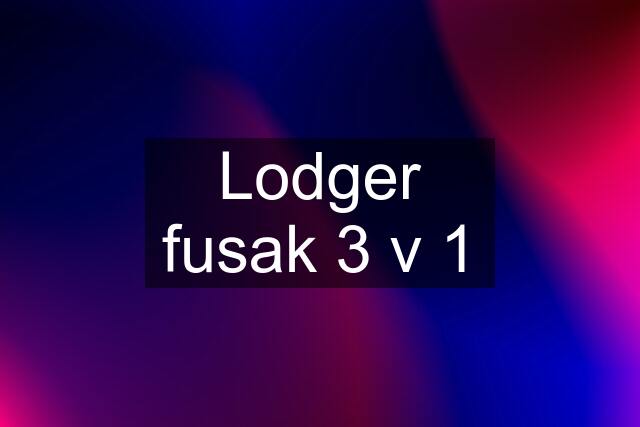 Lodger fusak 3 v 1